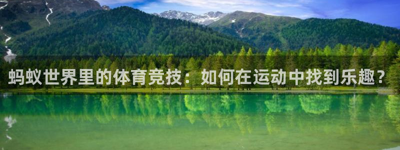 178体育nba在线直播