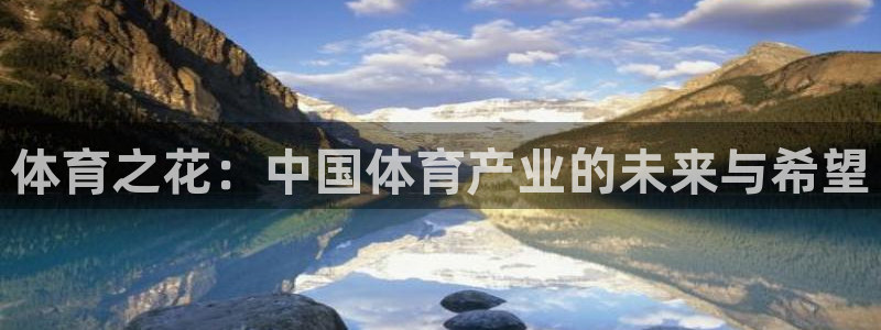178体育苹果下载：体育之花：中国体育产业的未来与希望