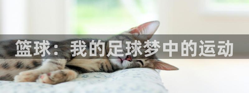 178体育ufc：篮球：我的足球梦中的运动